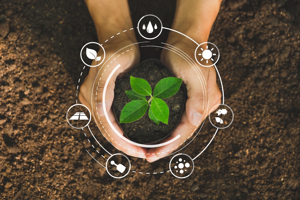 How Students Can Help Make Pakistan Greener